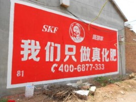罗甸刷墙广告”蕴含了时代命题