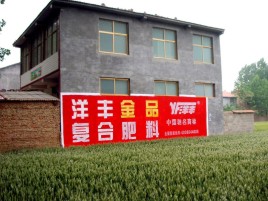 罗甸如何让墙体广告展现最大化效果