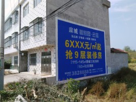 罗甸墙体广告质量分析