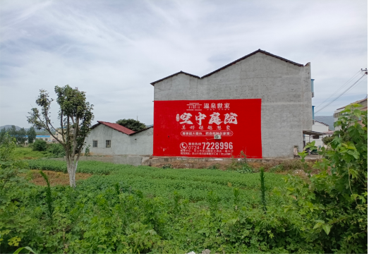 罗甸做墙体广告的意义